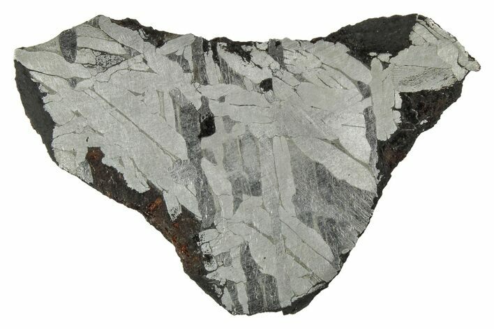 Etched Toluca Iron Meteorite ( g) Slice - Mexico #346484